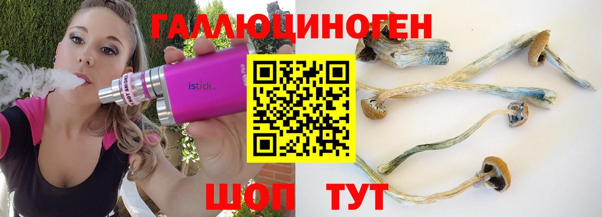 Галлюциногенные грибы Psilocybine cubensis Белово