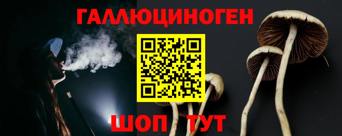 Белово  Галлюциногенные грибы прущие грибы  Вход с VPN  Галлюциногенные грибы Psilocybe 
