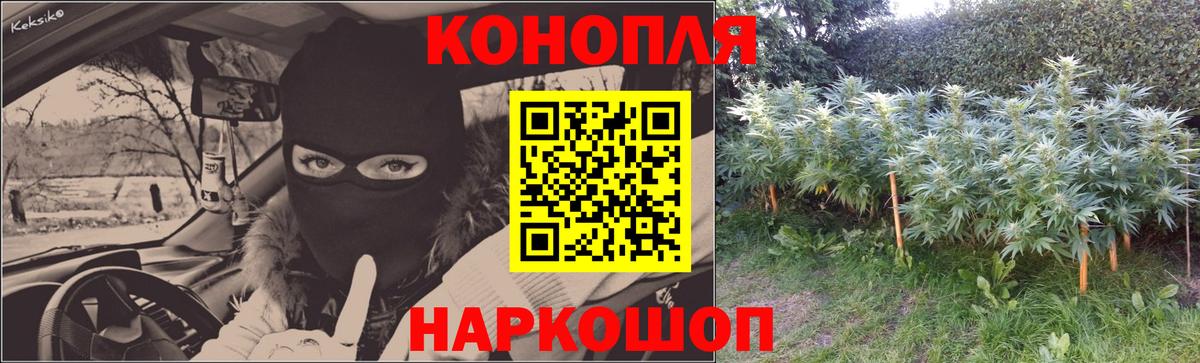Марихуана White Widow  Шишки марихуана тримм  Вход с VPN  Бошки Шишки индика  Белово 